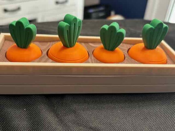 Carrots in Box Fidgets - Image 4