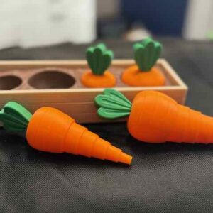 Carrots in Box Fidgets