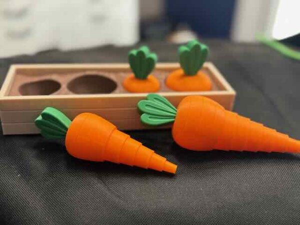 Carrots in Box Fidgets