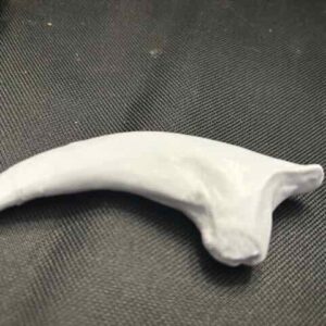 Rock with Tooth