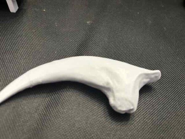 Rock with Tooth