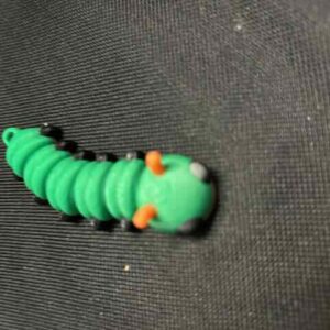 Caterpillar Key Chain