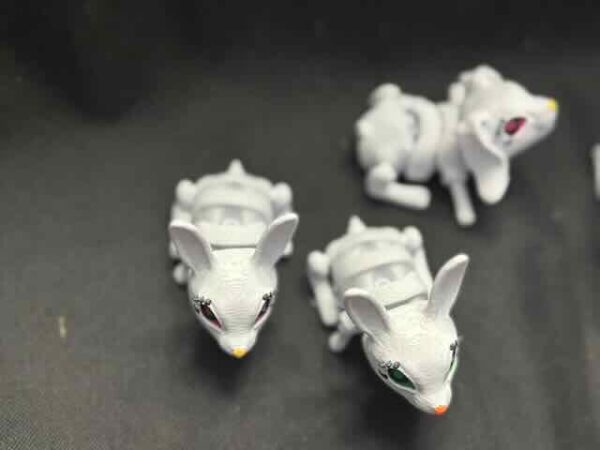 Fidget Rabbits - Image 5
