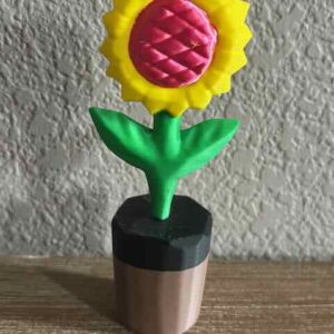 Flower with Pot