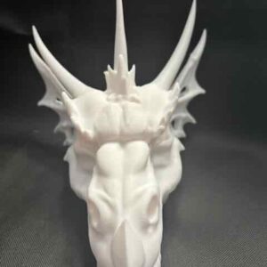 Dragon Head