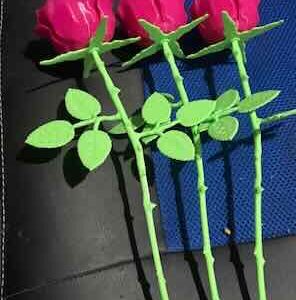 Roses