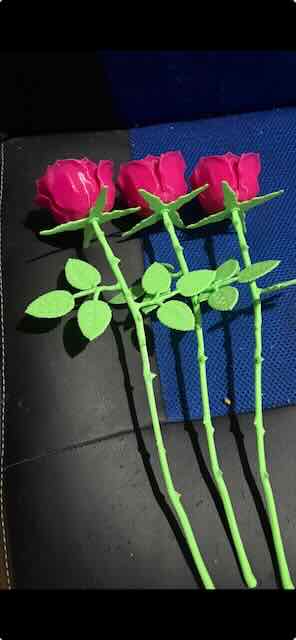 Roses